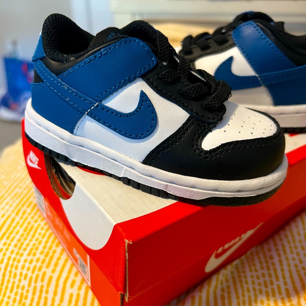 Blue and White Dunk Low (Toddler)
